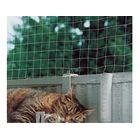 Katzennetz