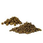 Katzensnacks