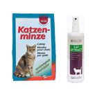 Katzenminze