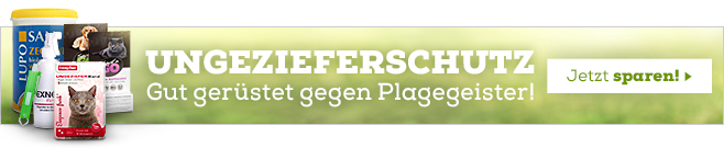 Ungezieferschutz für Hunde